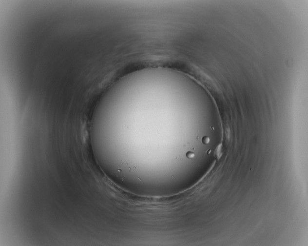 X0000114141204200910081258