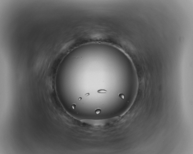 X0000114141205200910081258