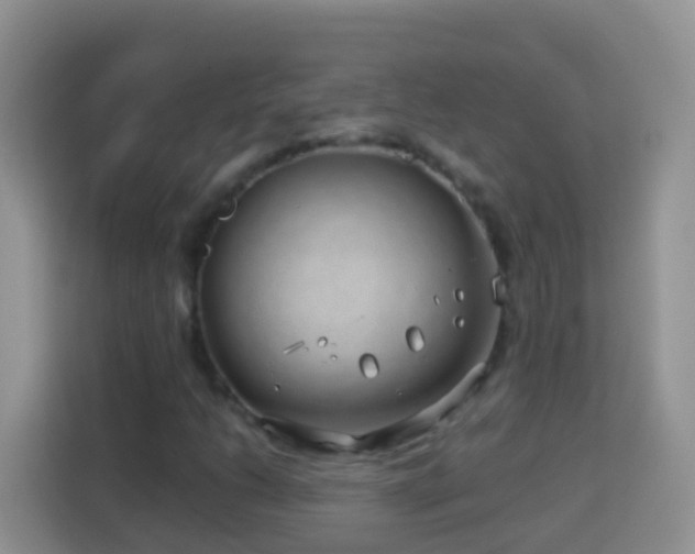 X0000114141206200910081258