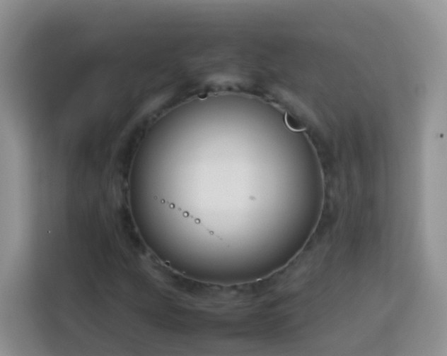 X0000114141207200910081258