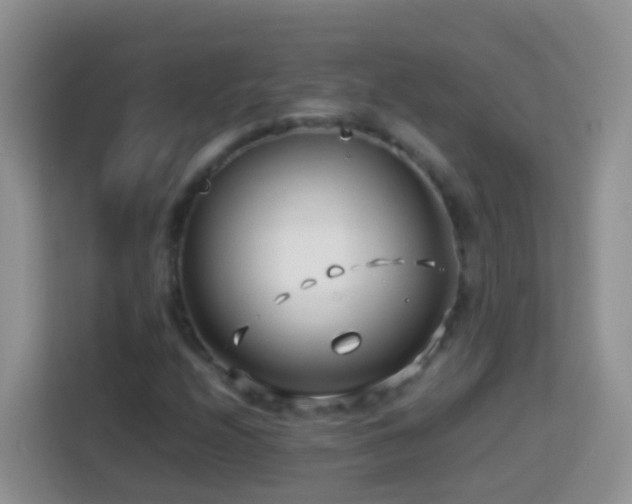 X0000114141208200910081258