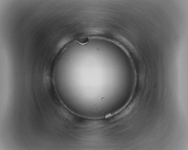 X0000114141210200910081258