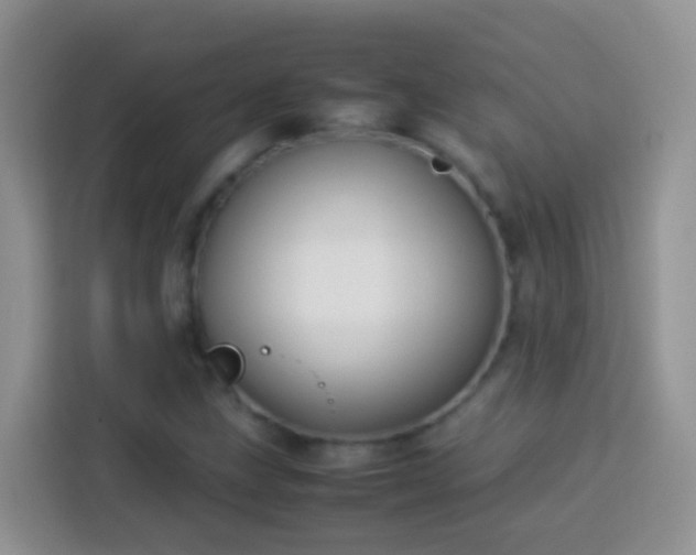 X0000114141211200910081258