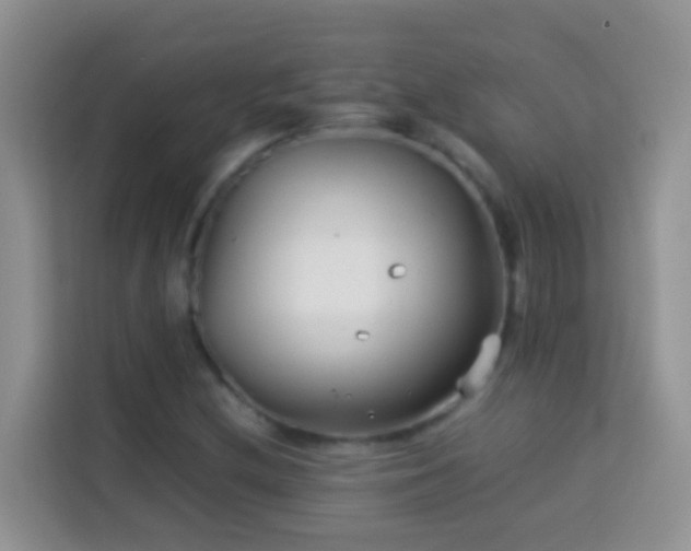 X0000114141212200910081258