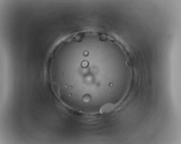 X0000114141215200910081258