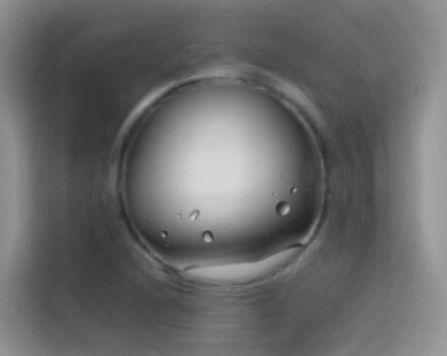 X0000114141216200910081258