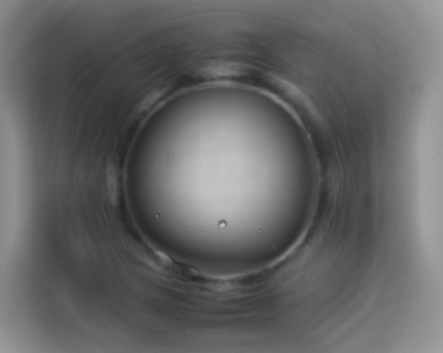 X0000114141217200910081258