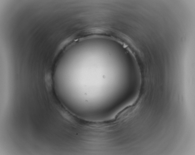 X0000114141218200910081258