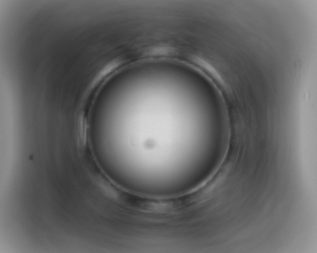 X0000114141219200910081258