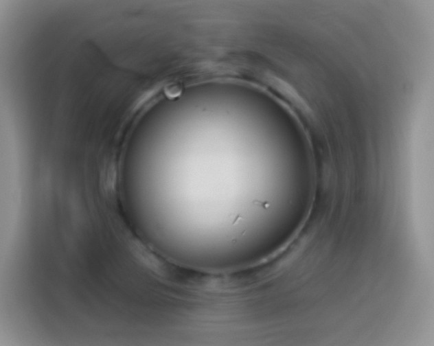 X0000114141220200910081258