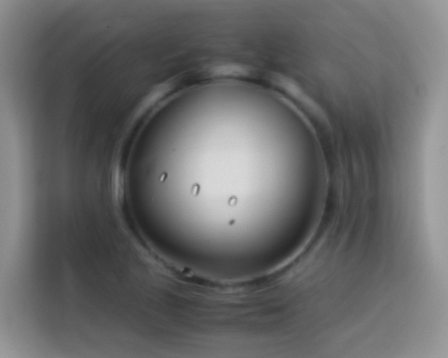 X0000114141221200910081258