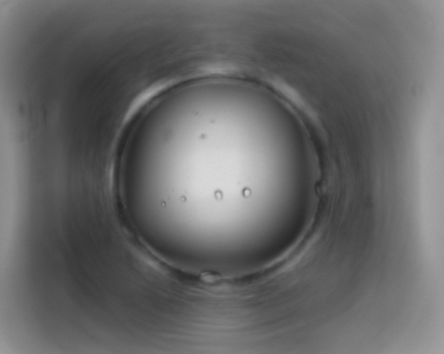 X0000114141222200910081258