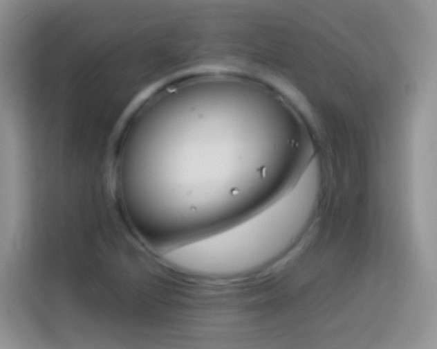 X0000114141224200910081258