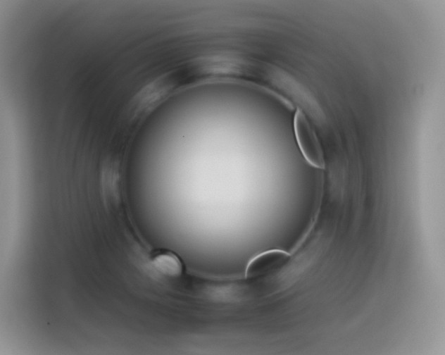 X0000114141225200910081258