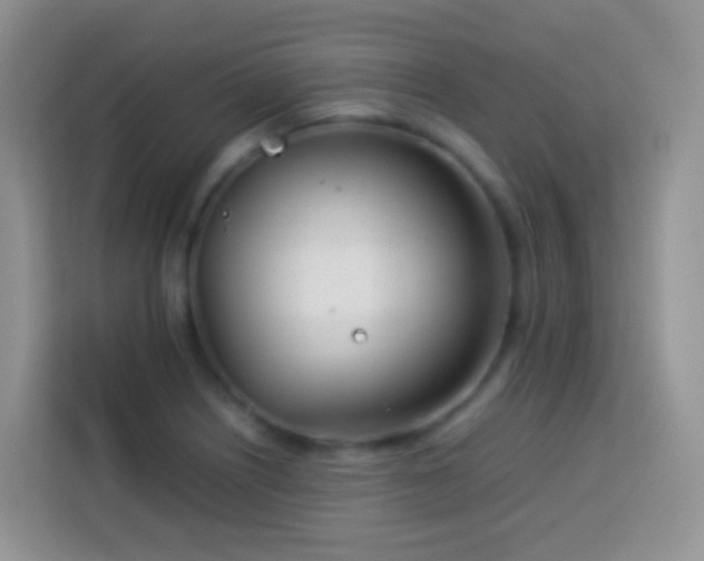 X0000114141226200910081258