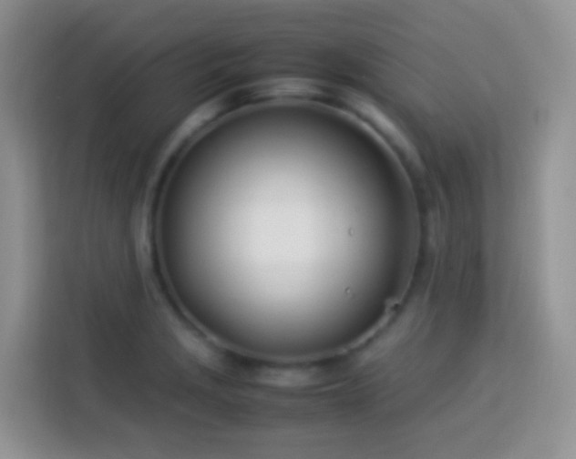 X0000114141229200910081258