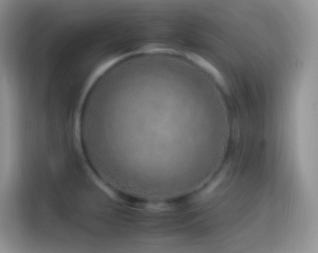 X0000114141231200910081258