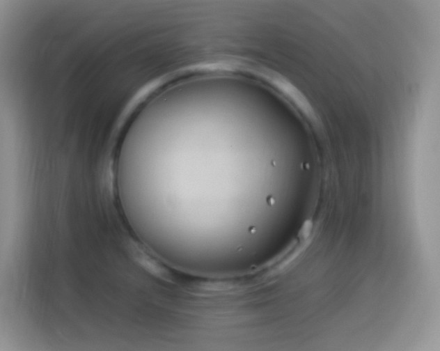 X0000114141232200910081258