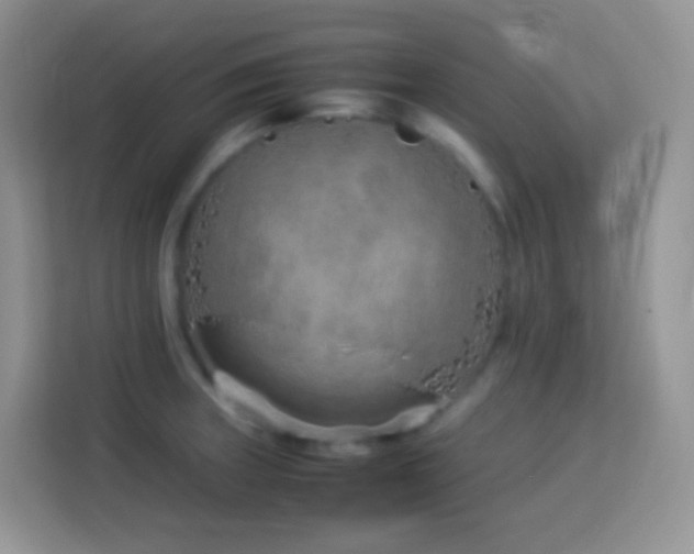 X0000114141235200910081258