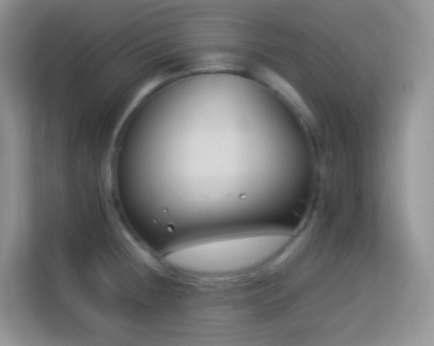 X0000114141236200910081258