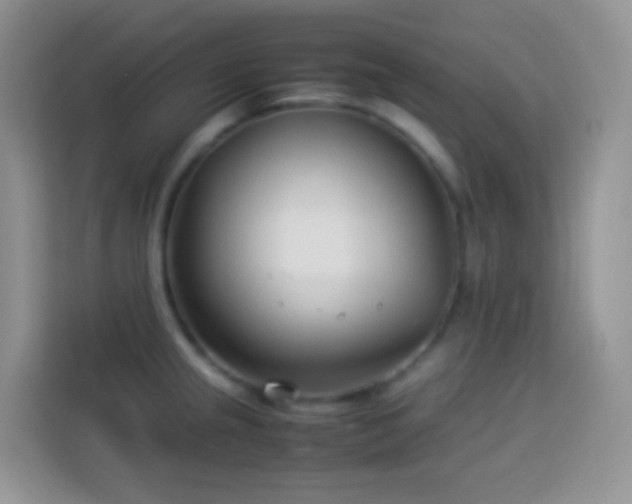 X0000114141237200910081258