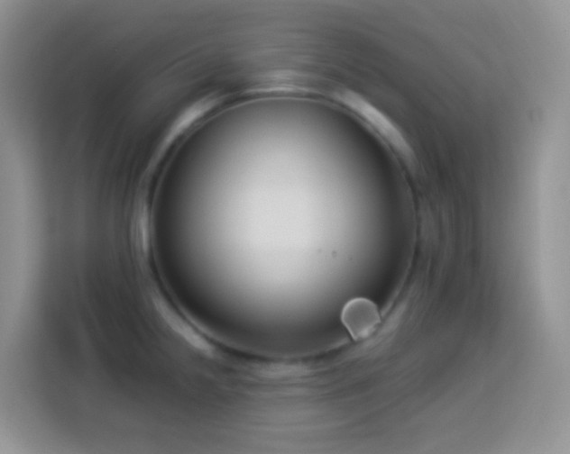 X0000114141238200910081258