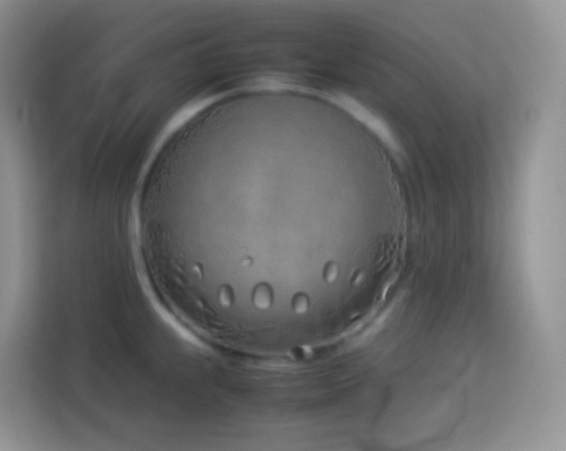 X0000114141239200910081258