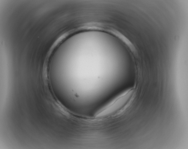 X0000114141240200910081258