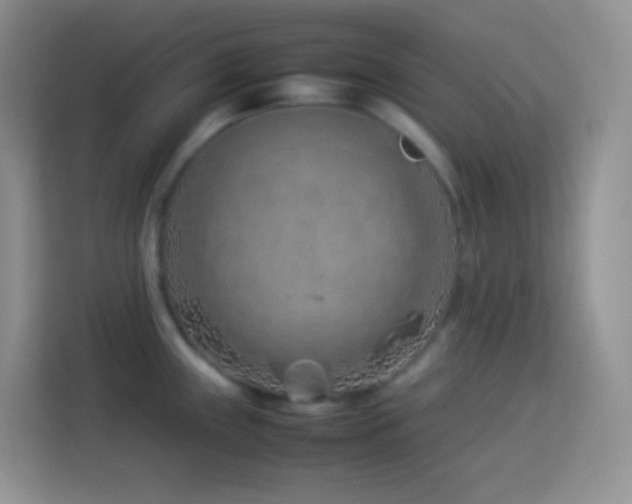 X0000114141243200910081258