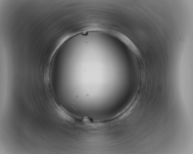 X0000114141244200910081258