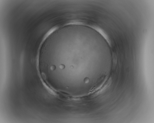 X0000114141245200910081258