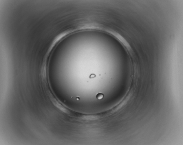 X0000114141246200910081258