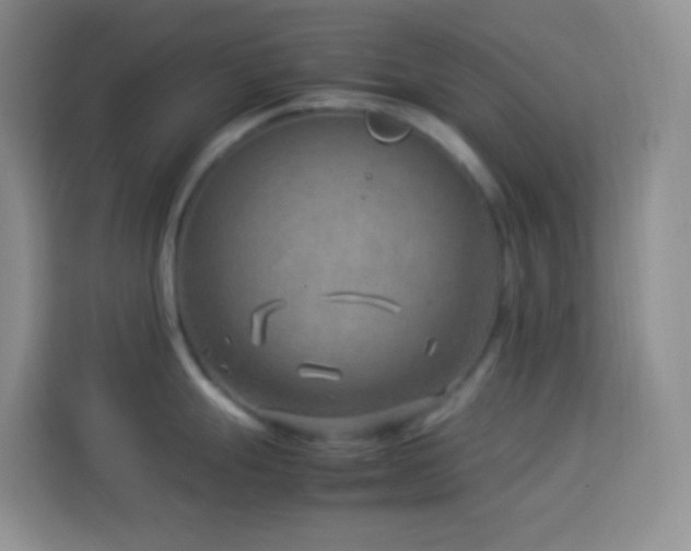 X0000114141247200910081258