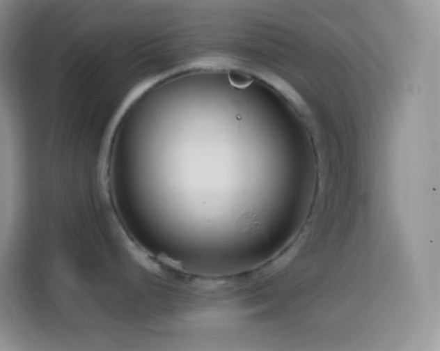 X0000114141248200910081258