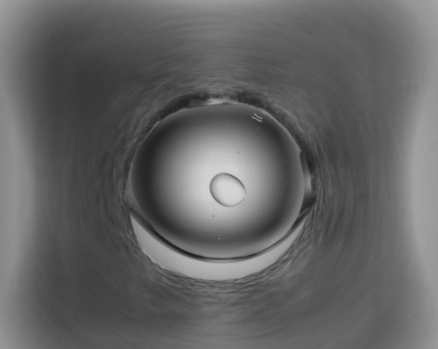 X0000114141249200910081258