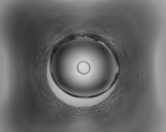 X0000114141253200910081258