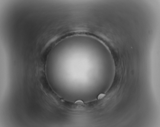 X0000114141255200910081258