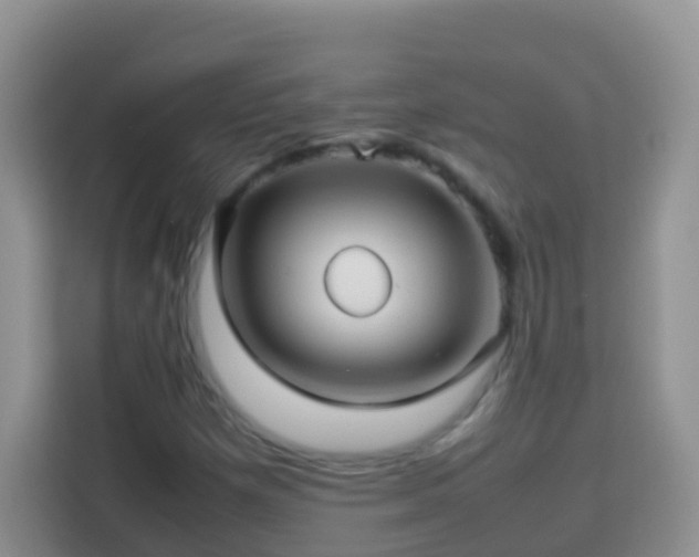 X0000114141257200910081258