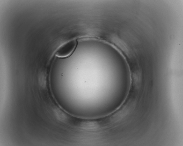 X0000114141260200910081258