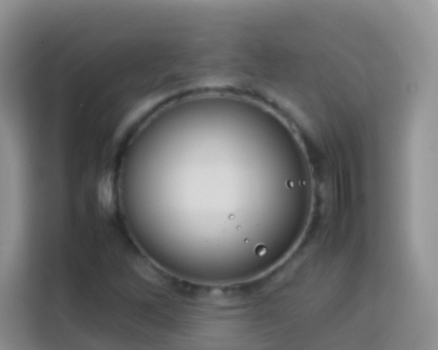 X0000114141262200910081258