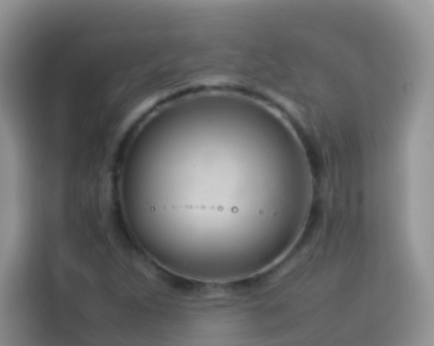 X0000114141263200910081258