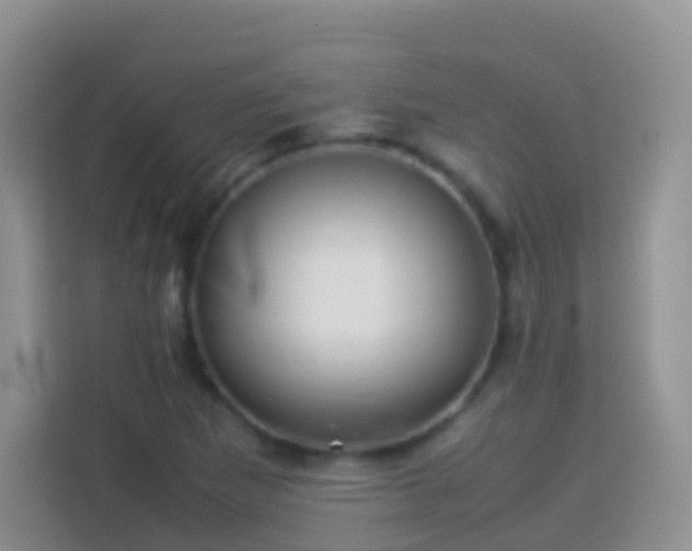 X0000114141265200910081258