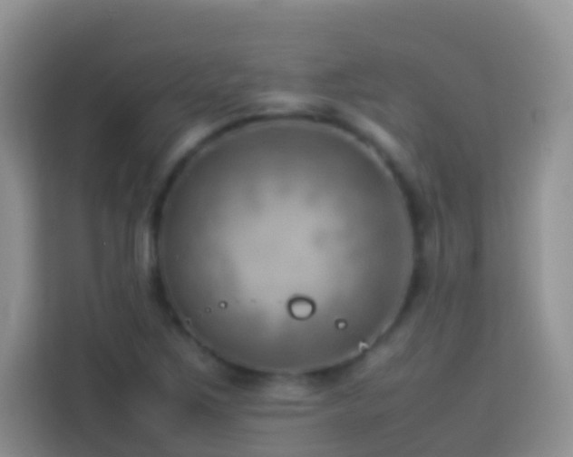 X0000114141267200910081258