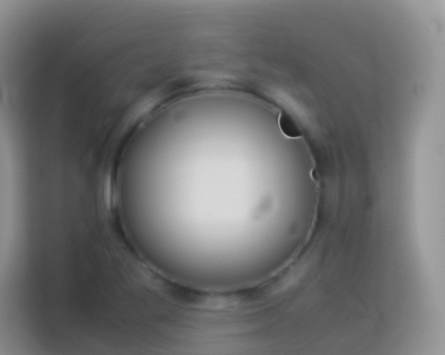 X0000114141269200910081258