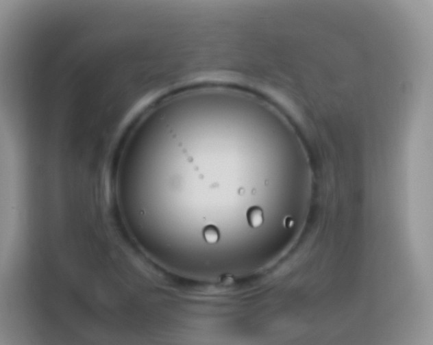 X0000114141271200910081258