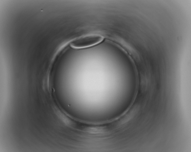 X0000114141272200910081257