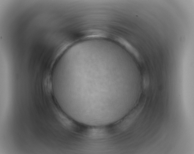 X0000114141274200910081257