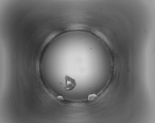 X0000114141277200910081257