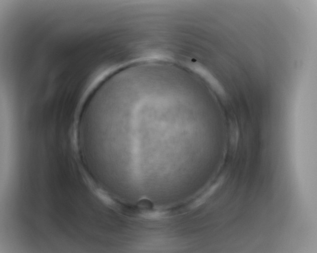 X0000114141278200910081257