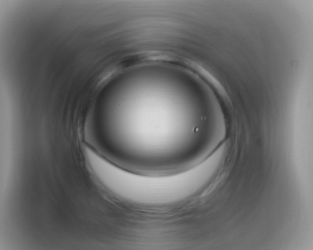 X0000114141281200910081257